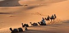 camellos atardecer.BMP