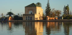 P1000093.JPG