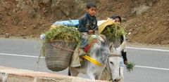 DSCN0068.JPG
