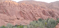 DSCN0104.JPG