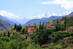 Excursion a cascadas de Ouzoud/ el valle de Ourika